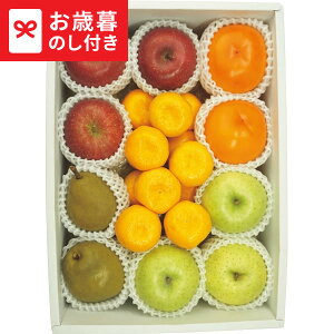 Ε Mtg ~̉ʕ5l  [J[ LTDU / O ΕMtg 2025 Ε Εp l lߍ킹 Zbg JGS