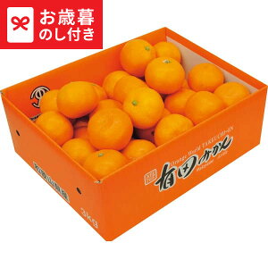 お歳暮 ギフト 和歌山県 武内園の有田みかん3kg 送料無料 メーカー直送 LTDU / グルメ お歳暮ギフト 2025 御歳暮 お歳暮専用 詰合せ 詰め合わせ セット JGS