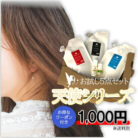 【お一人様一点限り】 天使シリーズお試し5点セット！ シャンプー トリートメント ヘアパック ヘアオイル 洗い流さないトリートメント お試し セット商品 CMCエマルジョン洗い流さない 髪 パサパサ 髪 サラサラ 髪 くせ毛 クリスマス クリスマスプレゼント