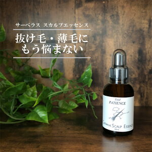 XJvPAV[Y T[xX Vv[200mlEO[Xu[X^[60mlEGbZX50ml LsLV ̖  Y   XgX  э ^   э u[X