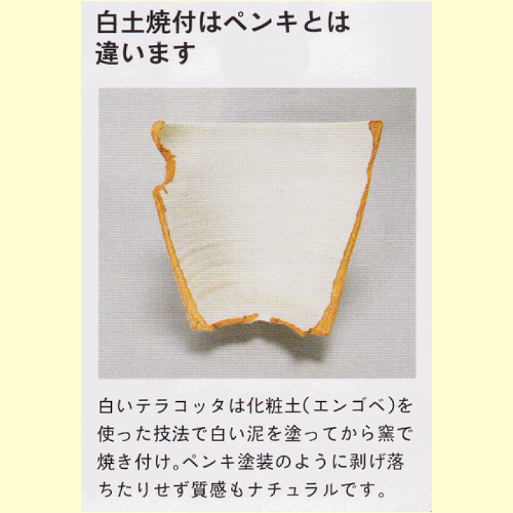 イタリー製変形深型お買い得テラコッタ白焼40cm 8027284001631_02.jpg