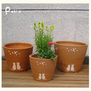 eRb^@zCg CAT & MOON@3_ZbgyfĐAؔz