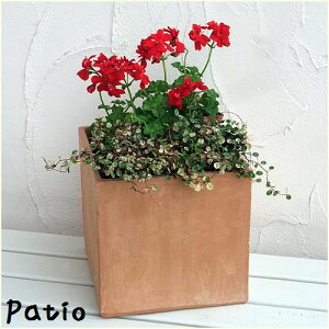 テラコッタ 無地 キューブ 2点セット【素焼植木鉢】