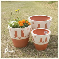 テラコッタ　白地 CAT　3点セット【素焼植木鉢】