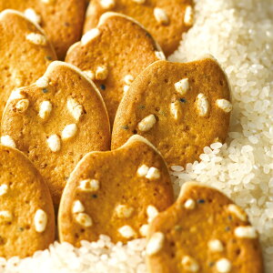 yz܊GOKAN ̈ ẴNbL[ NbL[ Ăَq ĕNbL[