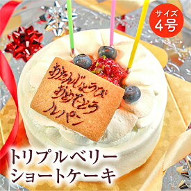 トリプルベリーショートケーキ4号 /　メーセージ入り 誕生日 記念日 お祝い パーティー ホールケーキ 爽やか 上品 名入り スイーツ 贈り物 プレゼント 還暦 人気