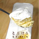 【人気の新食感チーズケーキ！】　とろける生チーズケーキ　プレーン　チーズケーキ　宮崎　母の日　父の日 プレゼン…