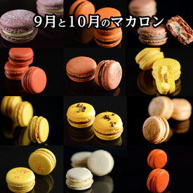 【季節限定】 9月・10月のマカロン（12個12種） マカロン専門店 送料無料 ギフト お中元 誕生日 内祝い 個包装 スイーツ クール便 熨斗対応 ※北海道・九州は400円加算（沖縄・離島は発送不可）