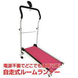 コンパクト自走式ウォーカー「お散歩ロード」【はぴねすくらぶテレビ 