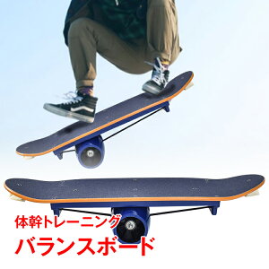 oX{[h ̊ ؐ q l g[jO _CGbg XP{[ vdl ؃g T[tB Z K tBbglX ^  X|[c V de136