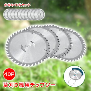 `bv\[ 10 Zbg @ @  ւn ֐n @̐n 40P 40T 40n 40 n 蕥@ @  a15cm 1mm x X`[ ϋv ؂ꖡQ d`bv 