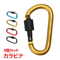【7/4〜7/10全品クーポン！】カラビナ ネジロック機能付きカラビナ アルミ製 強化 おしゃれ 4個セット 機…