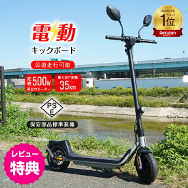 【5%オフCP+P2倍】*ランキング1位獲得*公道走行可 電動キックボード 公道 走行 仕様 免許 保安部品標準装備 スクーター 電動二輪車 キックスクーター キックボード 立ち乗り式 二輪車 原付 バイク 大人用 折りたたみ スタンド付 最高速度25km/h ナンバー取得必要