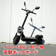 【数量限定★最大90%オフ】電動キックボード 原付一種 公道走行可 折りたたみ 保安部品標準装備 600W オ…