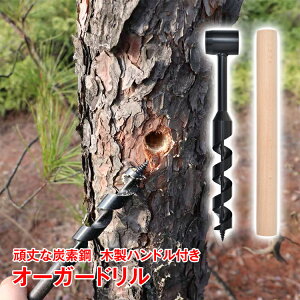 y422`撅80ItCPzEbhI[K[h nhI[K[` ubVNtg hrbg ha25mm xhn Yf| ϋv ؐnht @ ToCo 