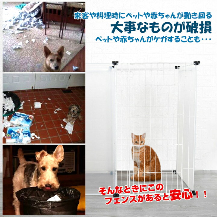 楽天市場】柵 フェンス ペット ケージ 70×50cm 8枚組 透明 ペットサークル 犬 猫 赤ちゃん 室内 侵入防止 工具不要 コンパクト レイアウト pt020 : 通販の暁 楽天市場】柵 フェンス ペット ケージ 70×50cm 8枚組 透明 ペットサークル 犬 猫 赤ちゃん 室内 侵入防止 工具不要 コンパクト レイアウト pt020 : 通販の暁