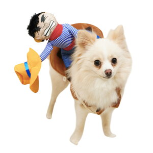 _Si5ItCP^ybg RXv  p L Lp L RX`[   ߑ hbOEFA M^[ x@ fI giJC 킢 ʔ p[eB[ nEB NX}X 