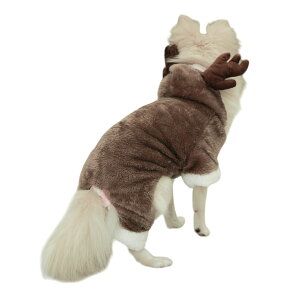 y422`撅80ItCPzybg RXv  p L Lp L RX`[   ߑ hbOEFA M^[ x@ fI giJC 킢 ʔ p[eB[ nEB N