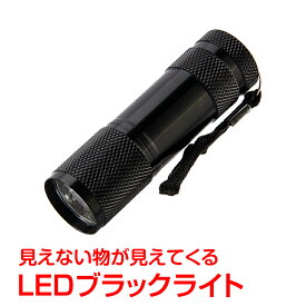 紫外線 懐中電灯型 ブラックライト led ハンディライト 見える 掃除 トイレ ペット 釣り 宝石鑑定 ジェルネイル硬化 汚れ確認 zk173
