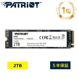 Patriot Memory P300 2TB M.2 2280 PCIe Gen3x4 NVMe SSD_Internal Solid State Drive_^/m[gp\R m[gPC _P300P2TBM28