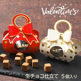 バレンタインチョコレート ばらまき チョコ 個包装 義理チョコ ギフト 2026 生チョコ 個包装 ギフトチョコレート 業務用 大量 ギフトチョコレート 義理チョコ 会社 小分け 詰め合わせ スイーツ お菓子