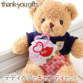 【セール！10％OFF！3/11まで】ホワイトデー お返し ばら 撒き お菓子 個包装 常温保存 送料無料 ばらまき チョコ 以外 キャンディ プレゼント くま ぬいぐるみ テディベア くまのぬいぐるみ プレゼント 服 キッズ 子供 女の子 ふわふわ ギフト 誕生日 お祝い 出産祝い