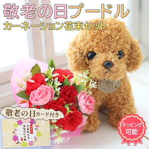 hV̓ 񂿂ƉԑZbg ʂ gCv[h ̂܂܏ u[P z ԑ Mtg a v[g o ԕr炸 X^hu[P  Mtg 50 60 70 80 