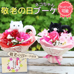 ˂ԑ Aj}u[P  ԑ ̂܂܏ J[l[V w ̓ ԑ u[P v[g 蕨 \ lRObY L ˂  [Y o   Ej JXj