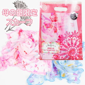 XJ[tMtg  2025 ԑ J[l[V u[P v[g GKgfUCXJ[t t t  H a Mtg v[g  O΍