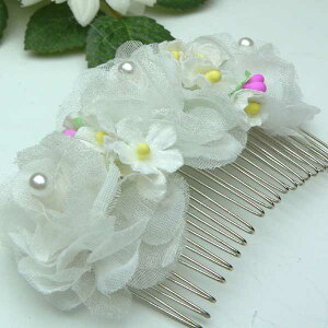 wAANZT[ R[ LbY q ̎q  p[  R[p[ oG pi G Mtg NX}Xv[g q ̎q