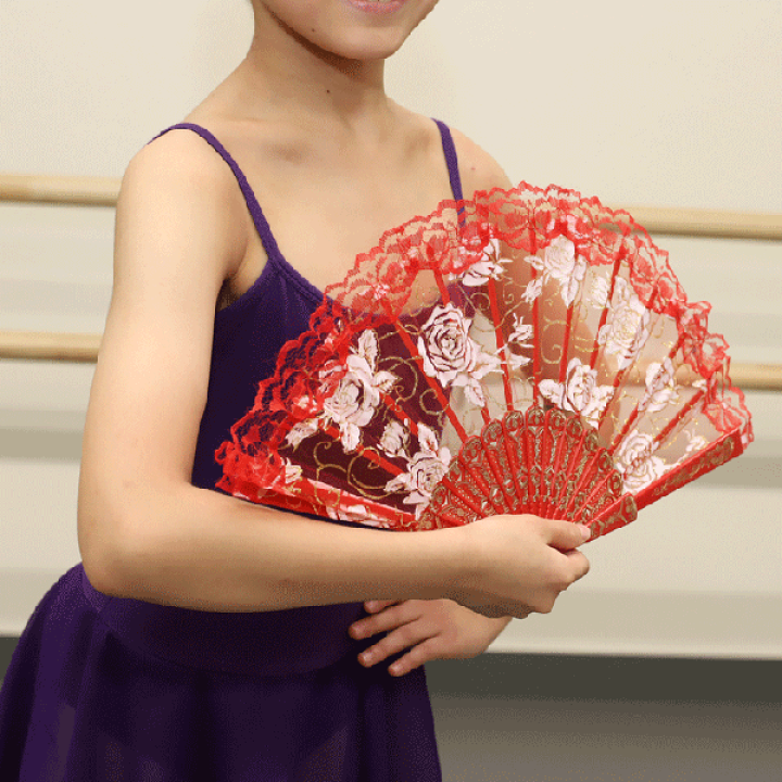 卸直営 ドン キホーテやスペインの踊り キトリにバラ柄 憧れのバレリーナ バレエ用 レース扇子 練習用 バレエ用品 黒 materialworldblog.com 卸直営 ドン キホーテやスペインの踊り キトリにバラ柄 憧れのバレリーナ バレエ用 レース扇子 練習用 バレエ用品 黒 materialworldblog.com
