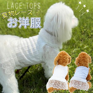  t   ӂӂ s[X 킢 ̎q t  t t ĕ t ĕ ėp pi hbOEFA h~ [Xs[X