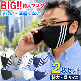 特大マスク 冷感 洗える 大きめ メンズ 特大 2枚セット 花粉症対策 UV対策 耳痛くない サイズ LL XL XXL 大きいマスク でかい 息しやすいマスク 立体マスク スポーツ 息がしやすい 口に張り付かない 通気性 軽量 ビックサイズ 5L 3L 2L ブラック グレー ホワイト 黒 白
