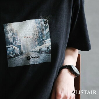 ＰＡＴＹ Tシャツ 半袖 綿100％ 刺繍 フォトプリント カラス クルミ しっかり 丈夫 大人 カジュアル 夏 アリステア