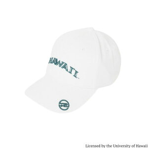 yz ROSASEN T[Z YcCLbv University of HawaiiR{ St StObY Xq z TCY\ Mtg v[g 04653438 046-53438