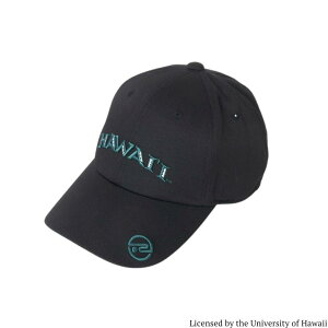 yz ROSASEN T[Z YcCLbv University of HawaiiR{ St StObY Xq z TCY\ Mtg v[g 04653438 046-53438