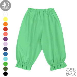 { PCLiqǂjp t_XEA_[pc n 40FIׂ tpc JqRpc CCpc Ci[pc pEXJ[gp y[։z hlds-sc40-21301