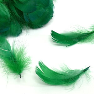 tFU[y10gzJ[tFU[ 8F H Ntgp O[XtFU[ f crft-feather y2܂Ń[։z