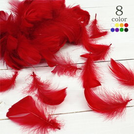 フェザー【10g】カラーフェザー 8色 羽根 クラフト用 グースフェザー 素材 crft-feather 【2個までメール便可】