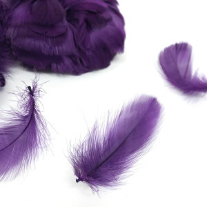 tFU[y10gzJ[tFU[ 8F H Ntgp O[XtFU[ f crft-feather y2܂Ń[։z