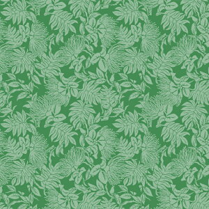 nCAt@ubN tAEEAG pbgO[ fab-K0007-parrotgreeny3[h܂Ń[։zyJ[}b`z