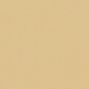 Th̖ñt@ubN 1[hI[_[Jbg x[W L J[L fab-solid-sand y|Rbgz yȃ|z yzz ynhChz y4[h܂Ń[։z