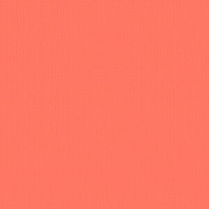 VK[R[̖ñt@ubN fab-solid-sgrcoral yt@ubNz ypEXJ[gz yߑz ynhChz y4[h܂Ń[։z