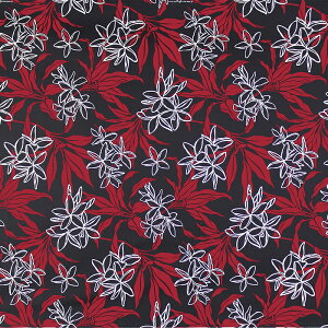 nCAt@ubN  vA eB[t fab-2889BK nCAn TC |Rbg y4[h܂Ń[։z