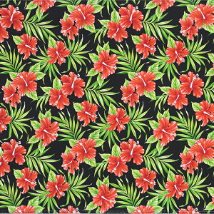 nCAt@ubN  nCrXJX fab-2906BK y4[h܂Ń[։z