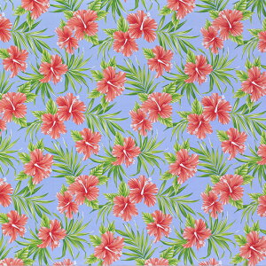 nCAt@ubN  nCrXJX fab-2906BL y4[h܂Ń[։z