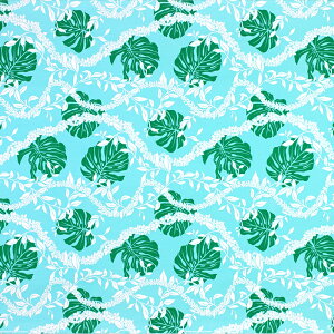 nCAt@ubN F Xe C fab-2907AQ y4[h܂Ń[։z