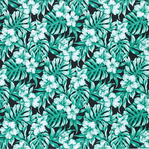 nCAt@ubN  nCrXJX Xe  fab-2911GNBKy4[h܂Ń[։z