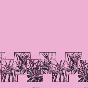 nCAt@ubN sN o[hIup_CX CGCG  fab-2913Piy4[h܂Ń[։z