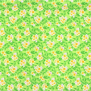 nCAt@ubN ݂ǂ vA fab-2920LGy4[h܂Ń[։z